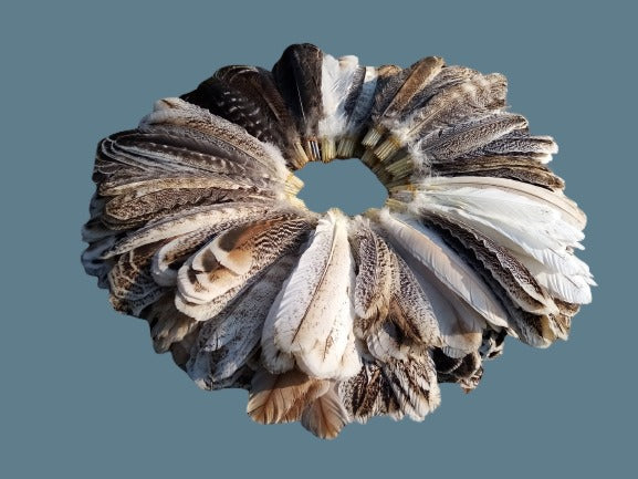 Turkey Wing Sets