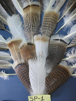 30 Pcs Assorted Turkey Feathers For Fly Tying and Craft SP-1