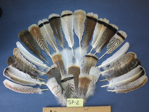 30 Pcs Assorted Turkey Feathers For Fly Tying and Craft SP-2