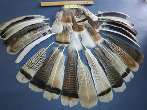 30 Pcs Assorted Turkey Feathers For Fly Tying and Craft SP-2
