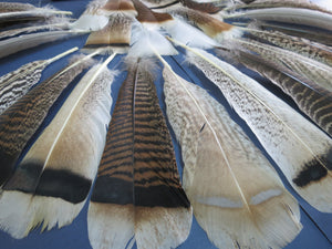 30 Pcs Assorted Turkey Feathers For Fly Tying and Craft SP-2
