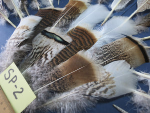 30 Pcs Assorted Turkey Feathers For Fly Tying and Craft SP-2