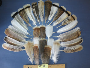 30 Pcs Assorted Turkey Feathers For Fly Tying and Craft SP-3