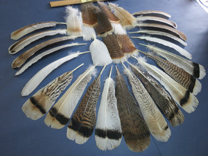 30 Pcs Assorted Turkey Feathers For Fly Tying and Craft SP-3