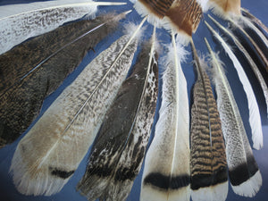 30 Pcs Assorted Turkey Feathers For Fly Tying and Craft SP-3
