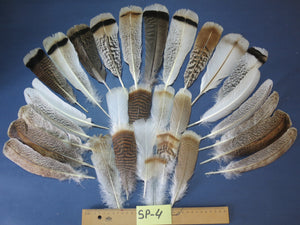 30 Pcs Assorted Turkey Feathers For Fly Tying and Craft SP-4
