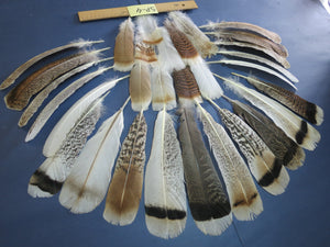30 Pcs Assorted Turkey Feathers For Fly Tying and Craft SP-4