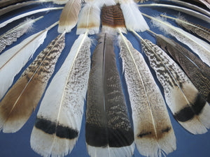 30 Pcs Assorted Turkey Feathers For Fly Tying and Craft SP-4