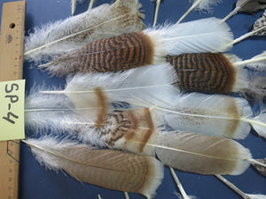 30 Pcs Assorted Turkey Feathers For Fly Tying and Craft SP-4