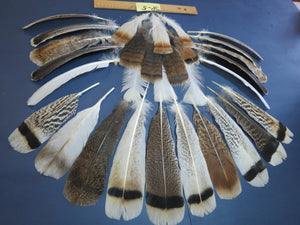 30 Pcs Assorted Turkey Feathers For Fly Tying and Craft SP-5