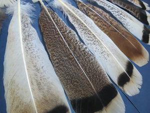 30 Pcs Assorted Turkey Feathers For Fly Tying and Craft SP-5