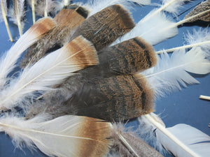 30 Pcs Assorted Turkey Feathers For Fly Tying and Craft SP-5