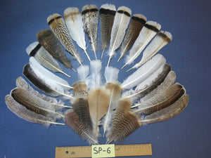 30 Pcs Assorted Turkey Feathers For Fly Tying and Craft SP-6