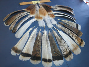 30 Pcs Assorted Turkey Feathers For Fly Tying and Craft SP-6