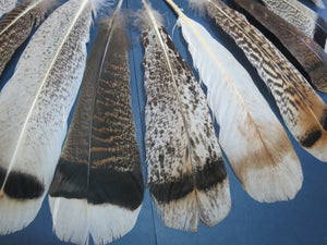 30 Pcs Assorted Turkey Feathers For Fly Tying and Craft SP-6
