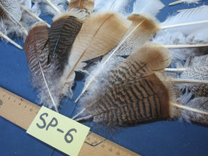 30 Pcs Assorted Turkey Feathers For Fly Tying and Craft SP-6