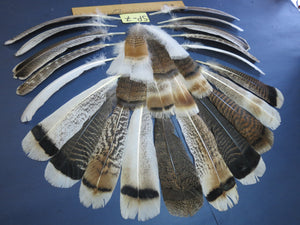 30 Pcs Assorted Turkey Feathers For Fly Tying and Craft SP-7