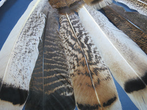 30 Pcs Assorted Turkey Feathers For Fly Tying and Craft SP-7