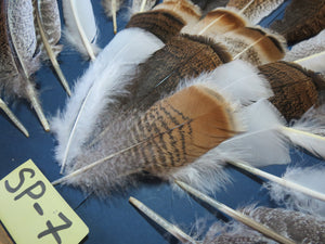 30 Pcs Assorted Turkey Feathers For Fly Tying and Craft SP-7