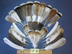30 Pcs Assorted Turkey Feathers For Fly Tying and Craft SP-8