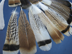 30 Pcs Assorted Turkey Feathers For Fly Tying and Craft SP-8