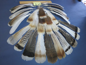 30 Pcs Assorted Turkey Feathers For Fly Tying and Craft SP-9