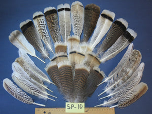 30 Pcs Assorted Turkey Feathers For Fly Tying and Craft SP-10