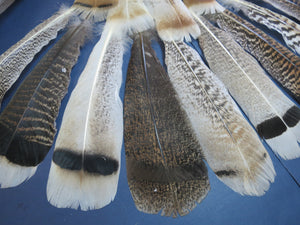 30 Pcs Assorted Turkey Feathers For Fly Tying and Craft SP-10