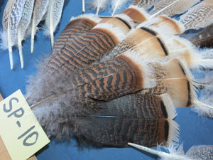 30 Pcs Assorted Turkey Feathers For Fly Tying and Craft SP-10