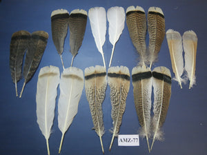 8 Pairs Turkey Feathers, Tail Feathers, Fly Tying Materials, Natural Feathers (AMZ-77)