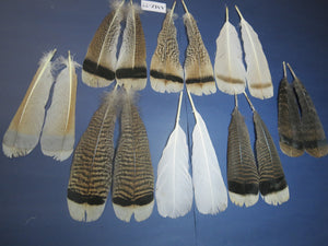 8 Pairs Turkey Feathers, Tail Feathers, Fly Tying Materials, Natural Feathers (AMZ-77)