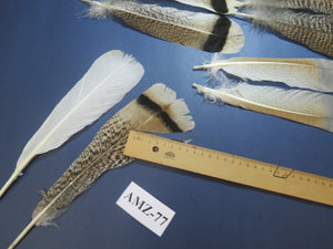8 Pairs Turkey Feathers, Tail Feathers, Fly Tying Materials, Natural Feathers (AMZ-77)